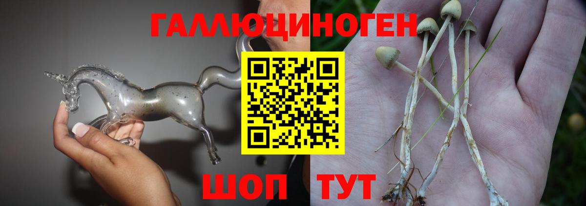 Галлюциногенные грибы прущие грибы  купить  сайты  Вход с VPN  Новоалександровск  Галлюциногенные грибы мухоморы 