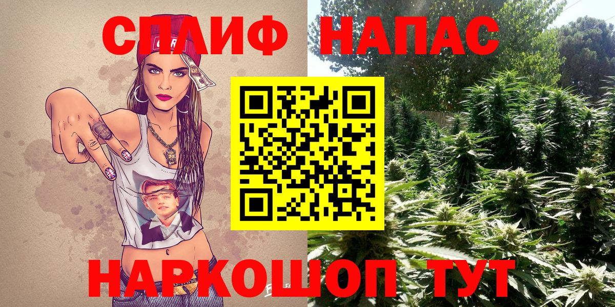 Канабис планчик Новоалександровск